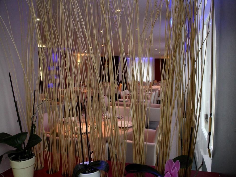 Logis Hotel Restaurant Le Castel Fleuri Saint-Jean-en-Royans Εξωτερικό φωτογραφία