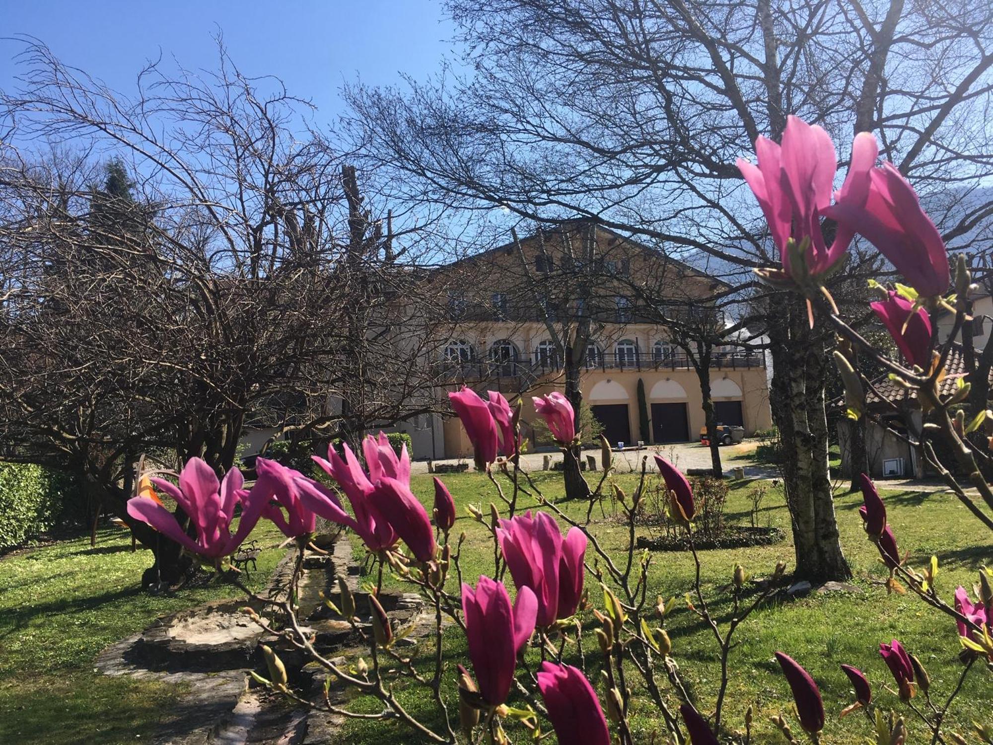 Logis Hotel Restaurant Le Castel Fleuri Saint-Jean-en-Royans Εξωτερικό φωτογραφία